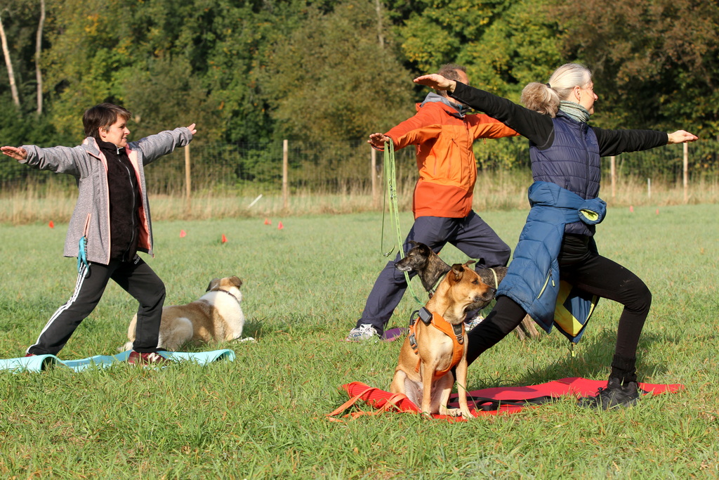 Pilates mit Hunden